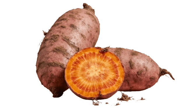 Camote o papa china entero y cortado, fondo transparente / Sweet potato whole and cut, isolated on transparent background