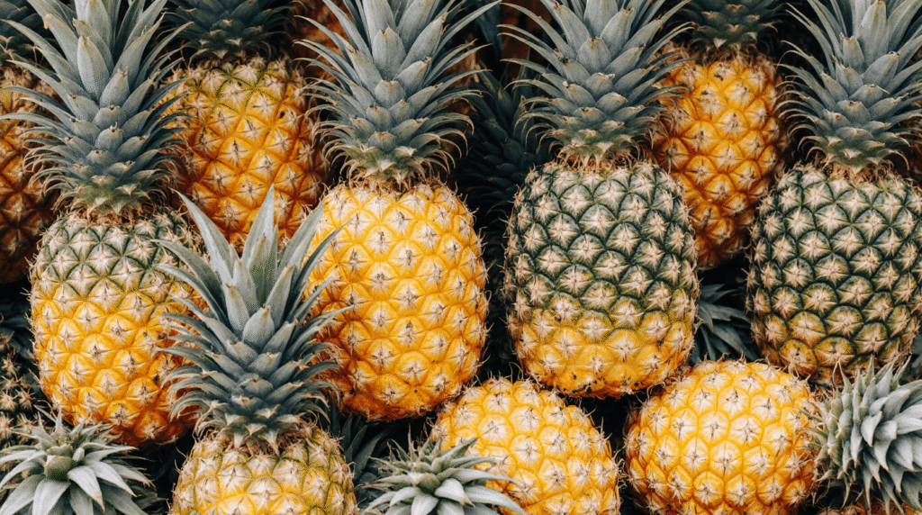 Piña ecuatoriana fresca (ananá), fruta tropical de exportación reconocida por su dulzura y calidad / Fresh Ecuadorian pineapple, tropical fruit for international export known for its sweetness and premium quality