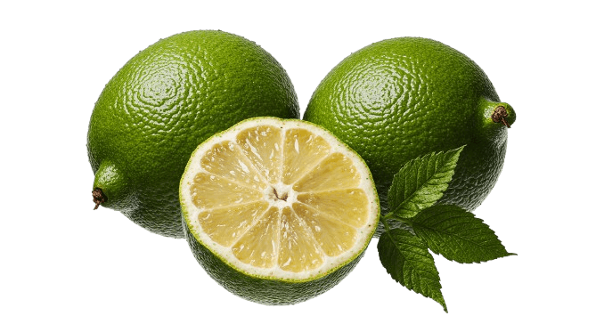 Limoncitos Tahití sin fondo, recurso gráfico para diseño web / Tahiti limes isolated on transparent background, graphic asset for web design