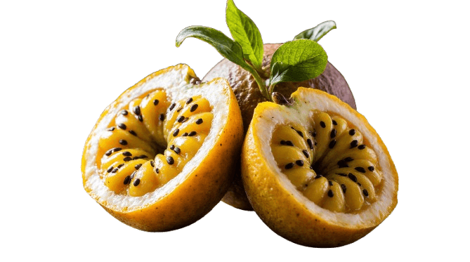 Maracuyá amarilla fresca partida por la mitad mostrando su pulpa jugosa con semillas negras / Fresh yellow passion fruit cut in half showing its juicy pulp with black seeds