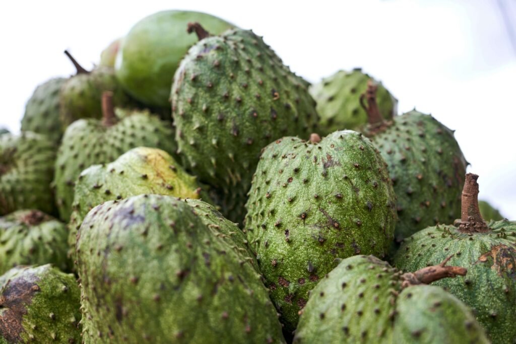 Guanábana fresca de Ecuador, fruta tropical verde con pulpa blanca y sabor exótico / Fresh Ecuadorian soursop, tropical green fruit with white pulp and exotic flavor