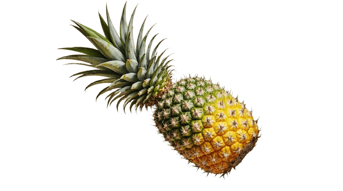 Piña entera fresca con corona verde, fondo transparente / Whole fresh pineapple with green crown, isolated on transparent background