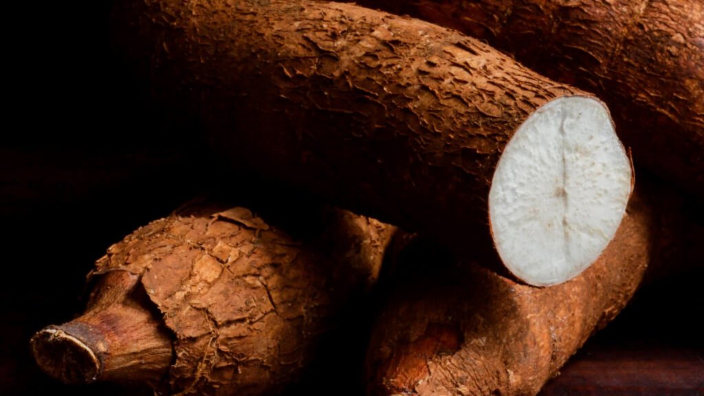 Malanga blanca ecuatoriana, tubérculo tropical de pulpa clara apreciado por su suavidad y frescura natural / Ecuadorian white malanga root, tropical tuber with light flesh valued for its smooth texture and freshness