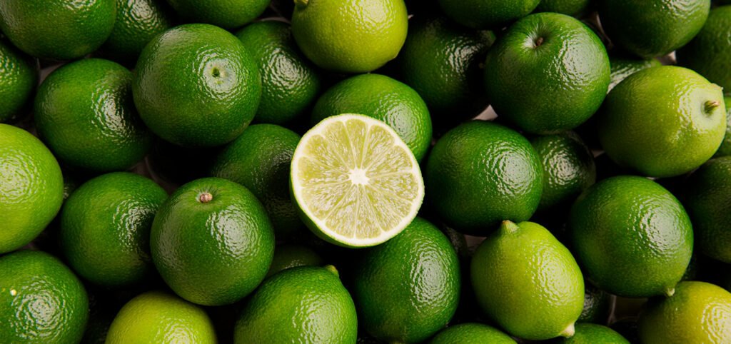 Limón Tahití ecuatoriano sin semillas para exportación de frutas y verduras Ecuador